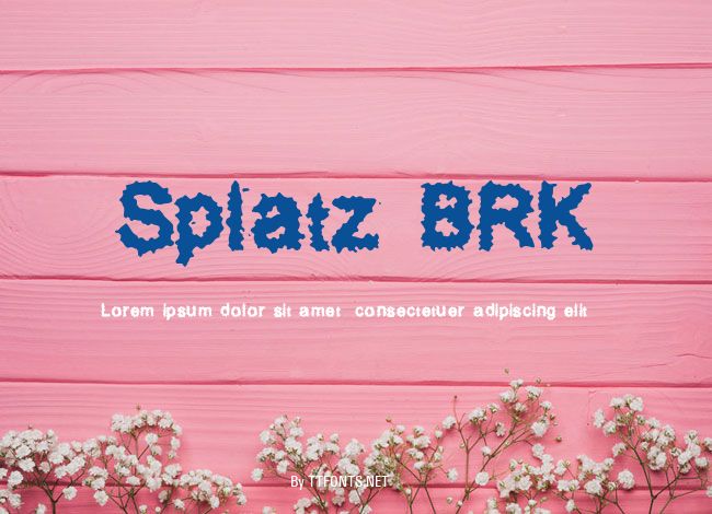 Splatz BRK example
